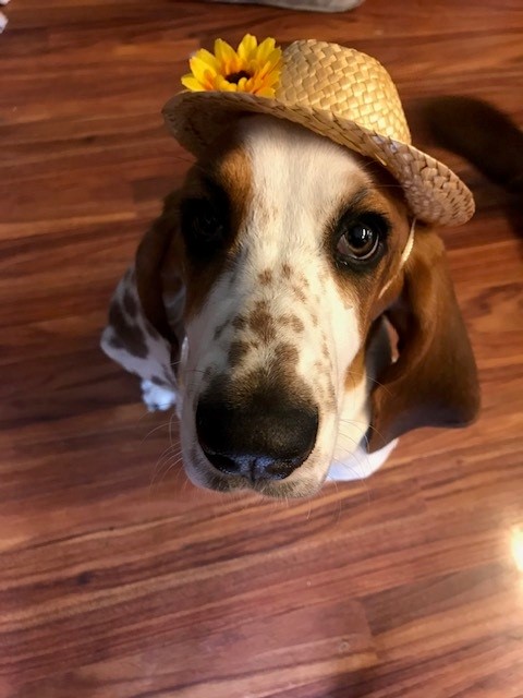 molly2